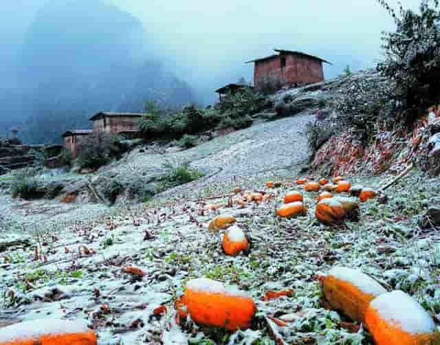 长沙云翼培训学校获喜报，高考小语种助你走进名校大门！