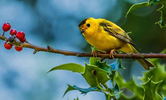 袖虎知识库：这个东西看似没用，实则少不了