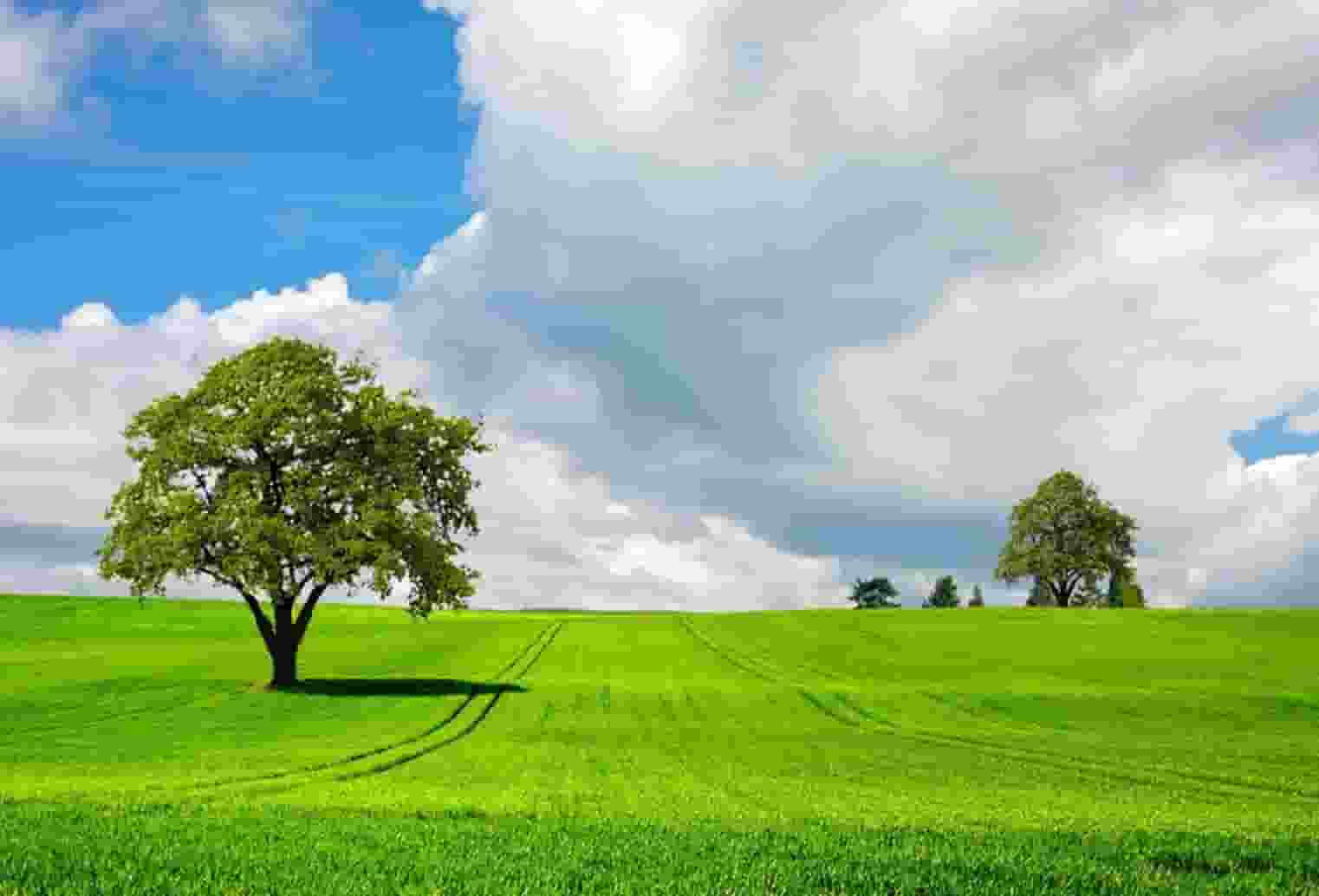 天目湖：产品迭代升级 经营创新突围