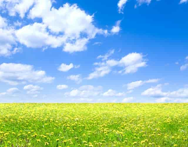 碧琮职业教育园在全国招募仅限200个有限合伙人