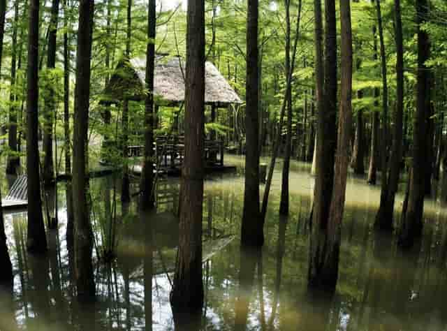 新浪官网、今日头条官网——国内仅有在个人手中的顶级域名