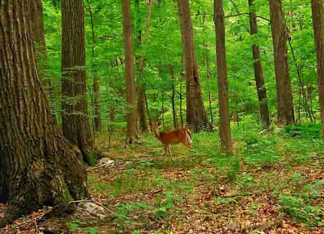 股市下跌股价走势