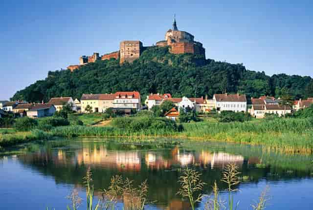 菜籽油会升血糖吗