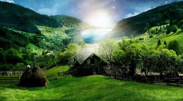 一个喜欢你又不喜欢的人