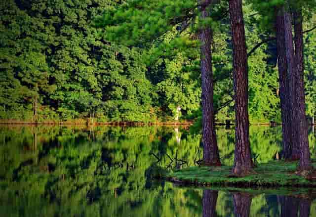 肖战方又涉嫌抄袭，原创作者发文谴责：下次可不可以不要再抄袭了