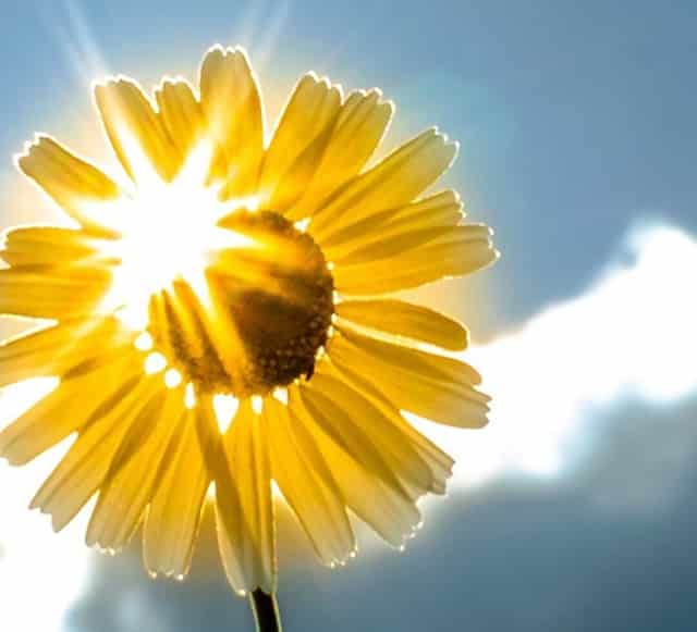 阿富汗申请美国