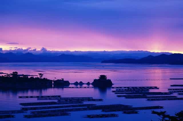 袖虎说，病猫的皮肤病，应该怎么预防和治疗？