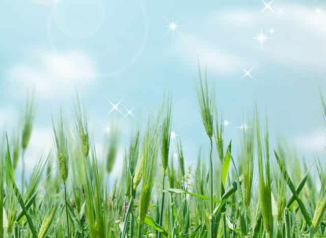 90％的交易员都在亏损，只因大家都忽略了这点！