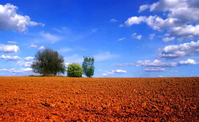 迈科期货亏损骗局？迈科教您如何截断亏损让利润奔跑！