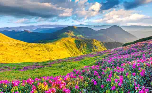 “褚橙”现掌舵人褚时健之子褚一斌称A股上市工作正在进行