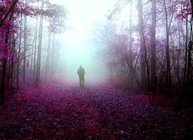 申清讯诗歌分享