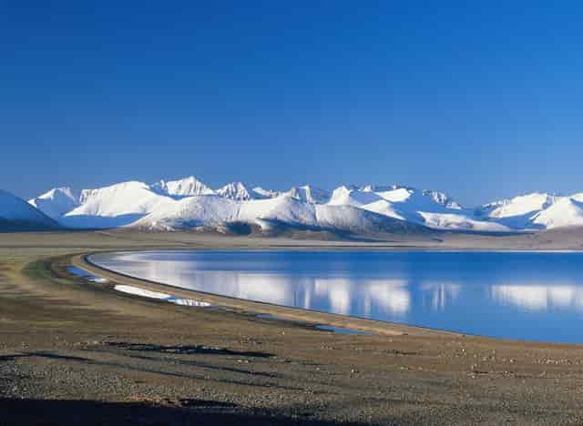 袖虎病猫攻略：猫反复长跳蚤是为什么？