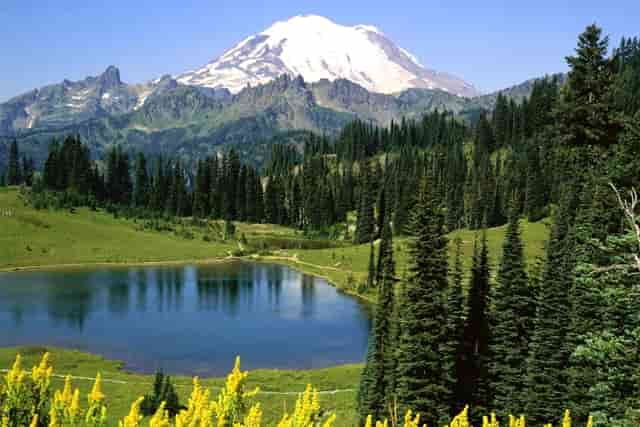 蔡嘉珍成功獲得註冊理財規劃師資格