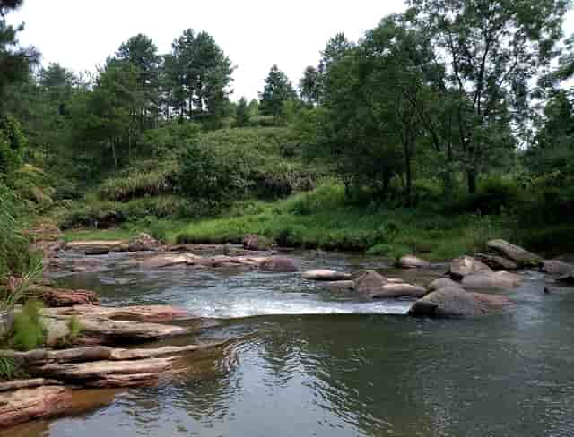 袖虎提醒您，避免狗狗眼睛出问题！