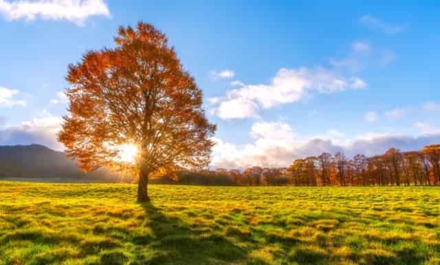 牙疼也是病，袖虎提醒这病会要命