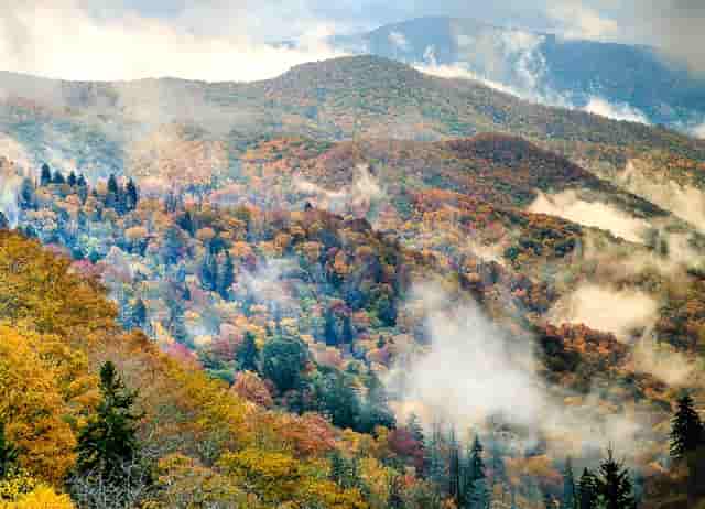 学党史和教学管理