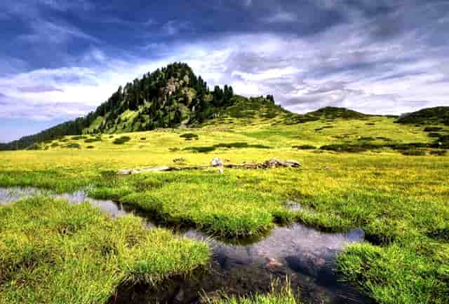 县局属于事业编吗