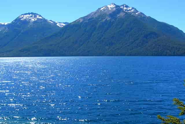 袖虎病猫攻略：猫咪肠胃炎用什么药？