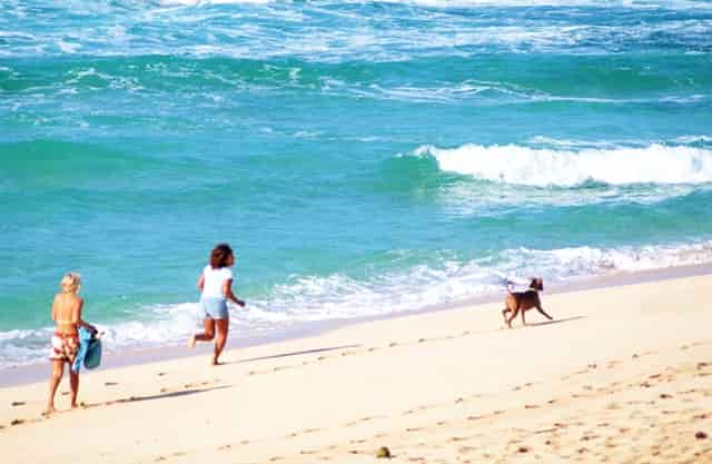 操盘技术视频教学