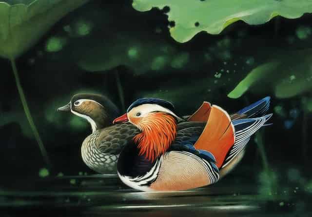 对于《西游记》中猪八戒的人物形象分析