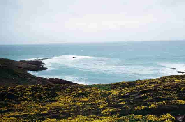 音乐剧《乳香飘（暂定名）》研讨会在内蒙古文联召开