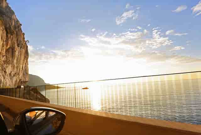 袖虎病猫攻略：怎么样为猫咪做产房