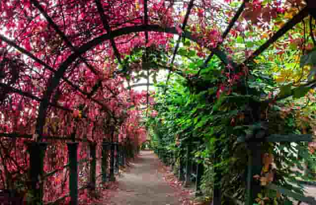 河南灾情捐赠(河南灾情捐赠企业)