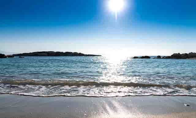 袖虎病猫攻略：猫便秘能喝牛奶吗