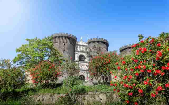 袖虎病猫攻略：人吃的药能喂猫吗？