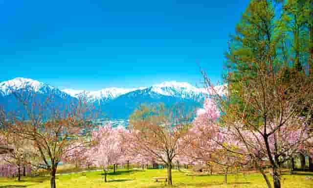 电价优惠政策落地(疫情电价优惠政策)