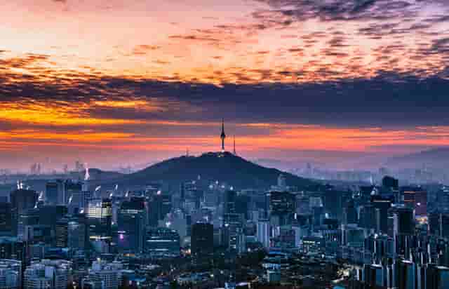 袖虎病猫攻略：猫咪嘴肿怎么办？