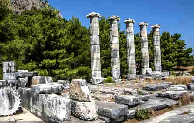 想入局宠物行业开店？袖虎宠物教你避坑免踩雷！