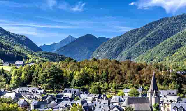 袖虎加盟故事：卖猫骗局