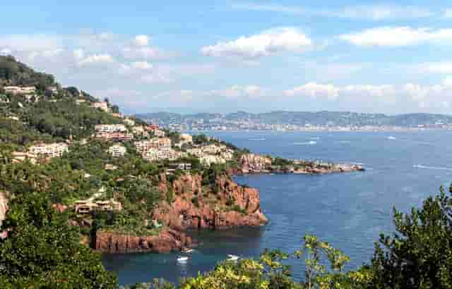 掌上世界杯火热来袭 枞横世界杯预测锦标赛进行中