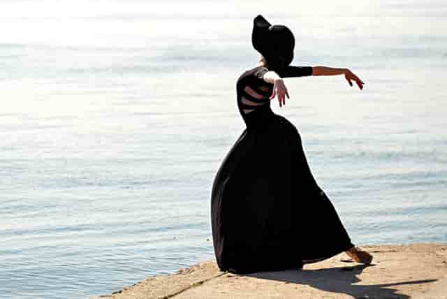 袖虎病狗攻略：狗狗鼻炎别大意