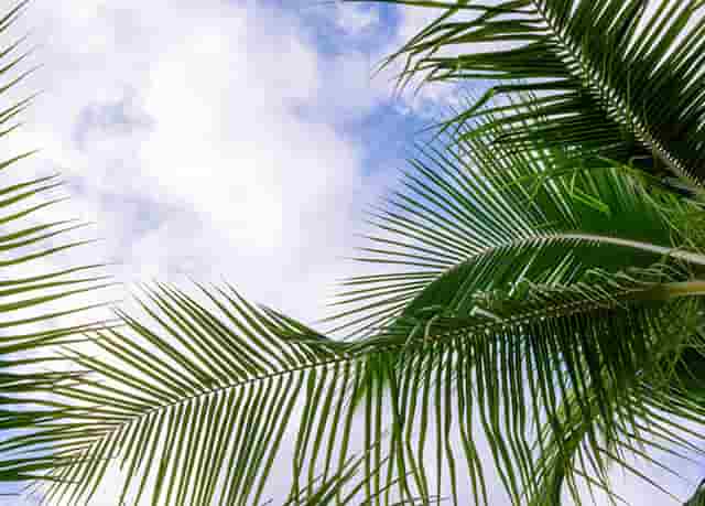 日本奥运会新增什么项目(日本奥运会运动项目图标)