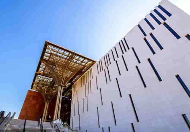 袖虎病猫攻略：预防自发性膀胱炎！