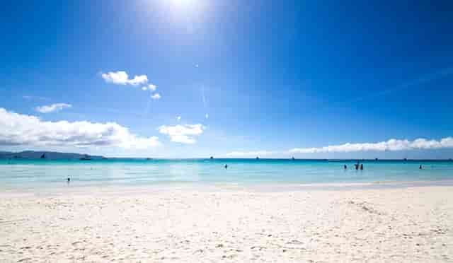 袖虎病猫攻略：用蚊香真的会死猫吗？