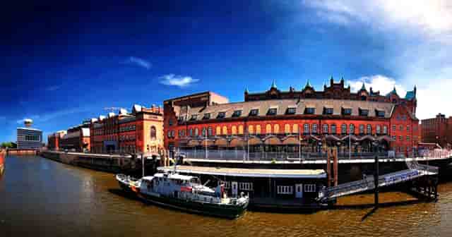 袖虎案例：猫鼻支还会容易死猫吗？