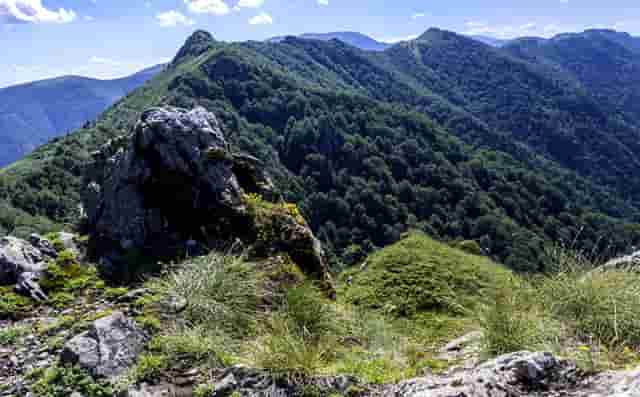 本田奥德赛豪华版操作视频(2014款本田奥德赛豪华版)