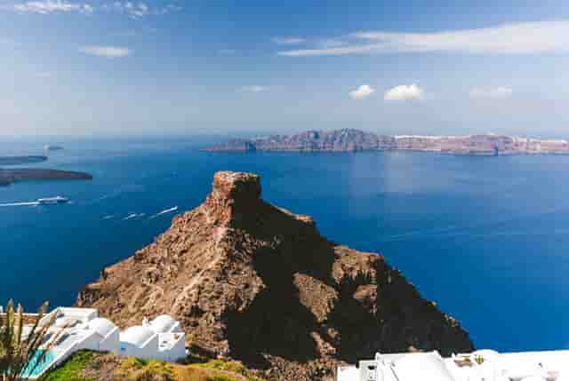 袖虎发现的骗子套路：领养宠物