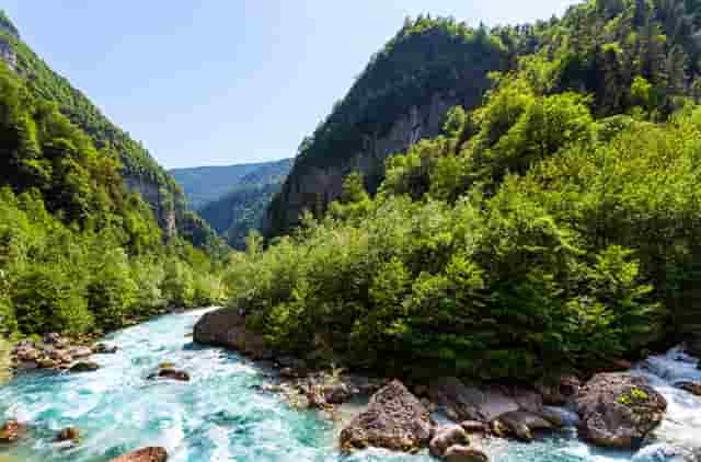 袖虎病猫攻略：猫咪上呼吸道感染怎么治