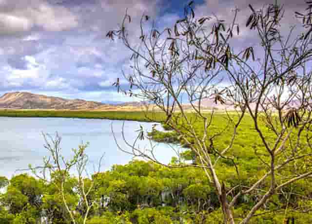 浙江金华的cba球员