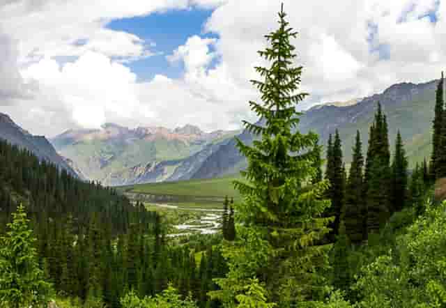 辽宁红河峡谷漂流旅游遭不公待遇 始作俑者遭调离