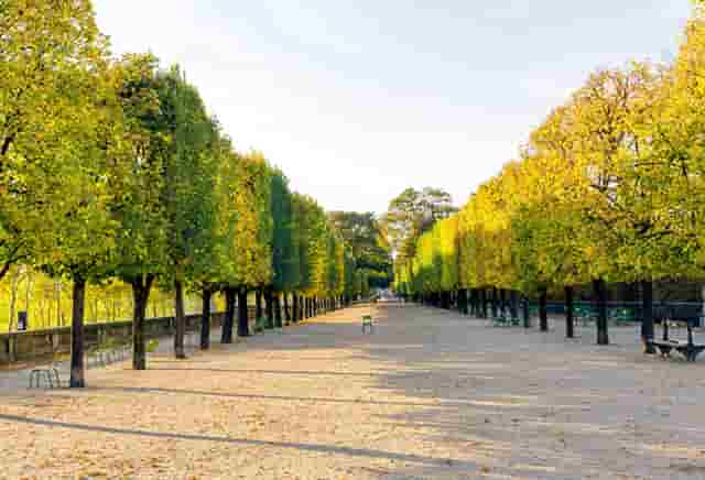 袖虎病狗攻略：狗真的都爱吃骨头吗