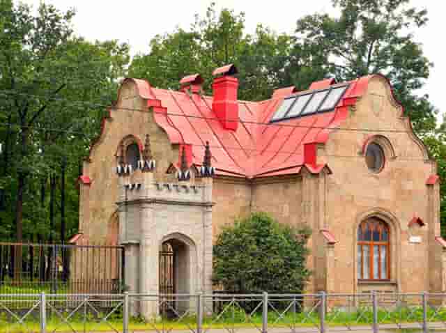 袖虎病狗攻略：金毛关节炎，必须小心