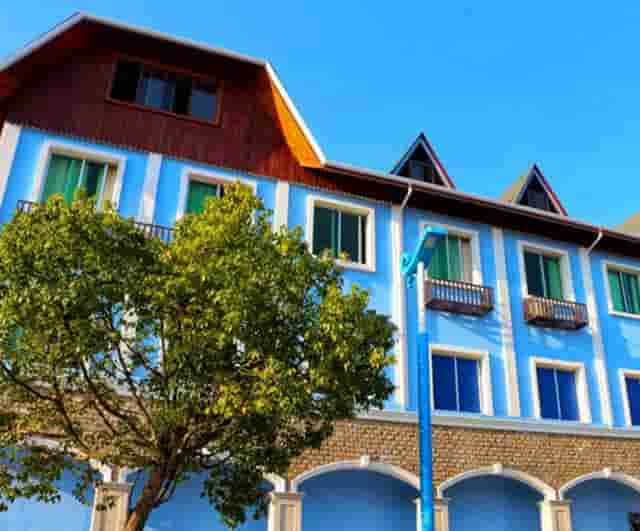 靶向药新星·拉罗替尼不限癌种（Larotrectinib，LOXO-101）