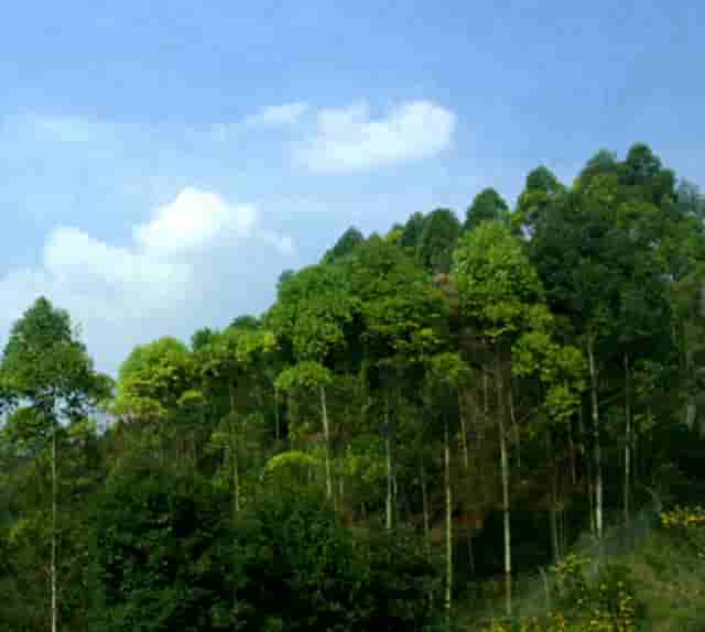 知乎携手京东、品牌商家，共创 11.11 家电家居消费指南