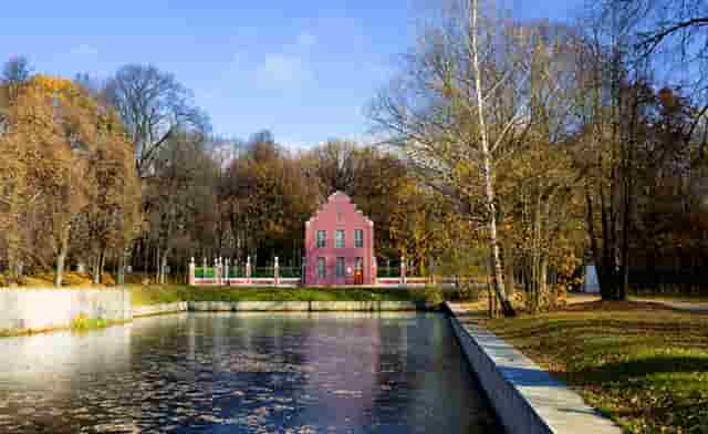 加盟热潮，袖虎宠物带你挣大钱！