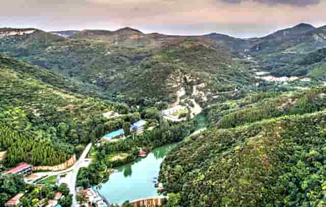 袖虎宠物：如何避免加盟踩坑